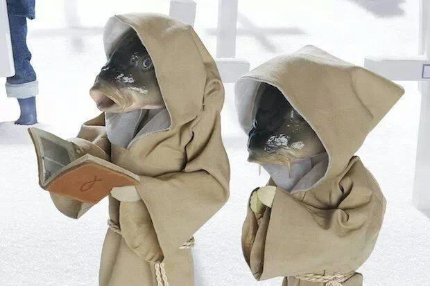 funny fishing  - 1459700.jpg